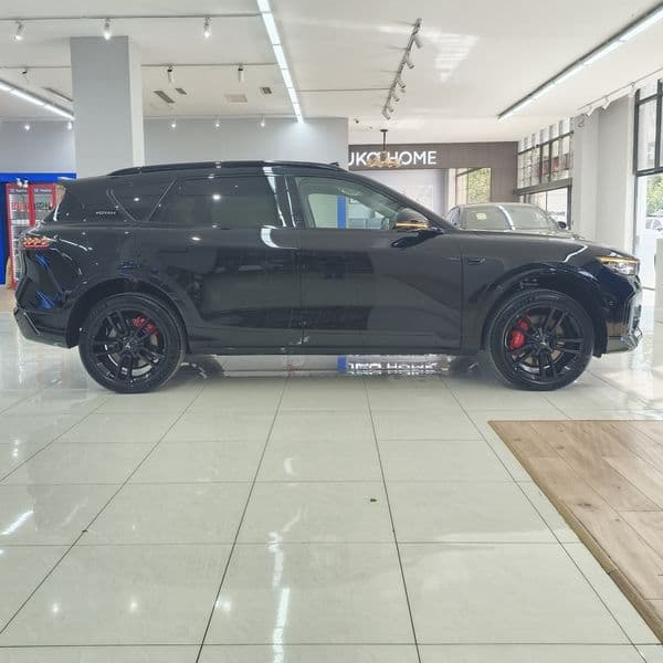 Voyah Free 2025 — 5