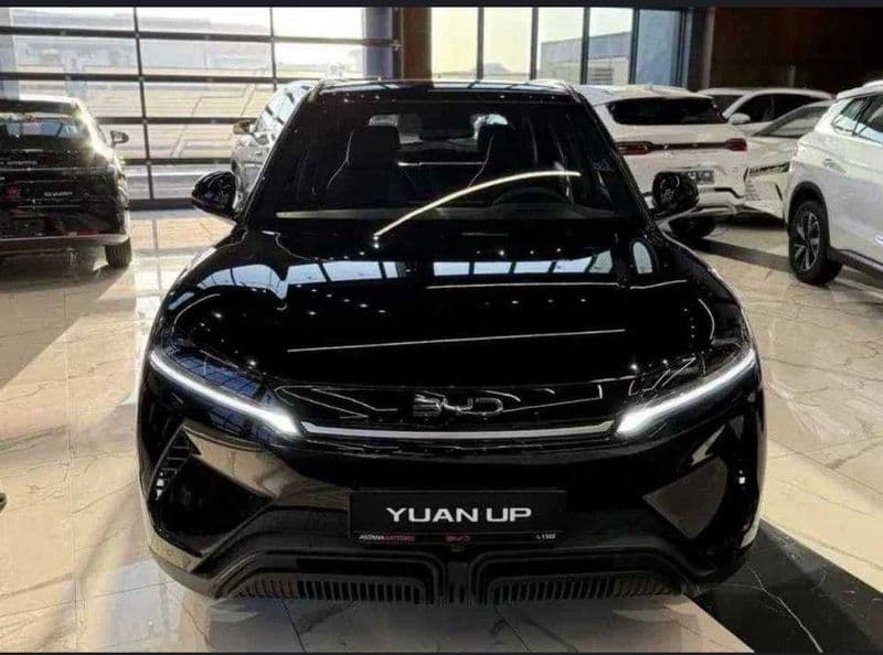 BYD Yuan Up 2025