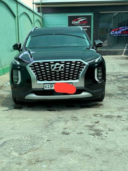 Hyundai Palisade 2022