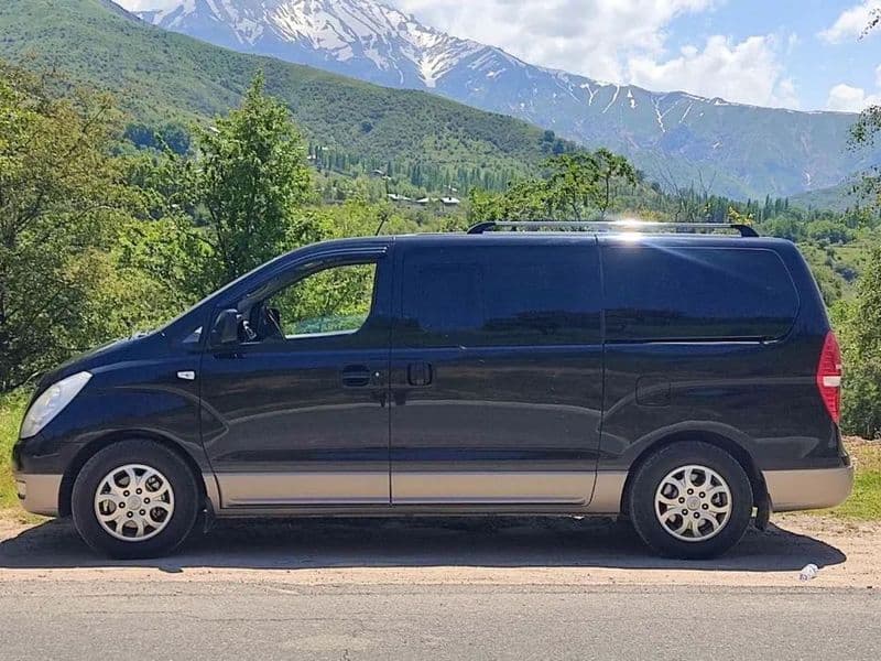 Hyundai H-1 starex 2010