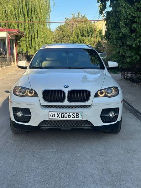 BMW X6 2010