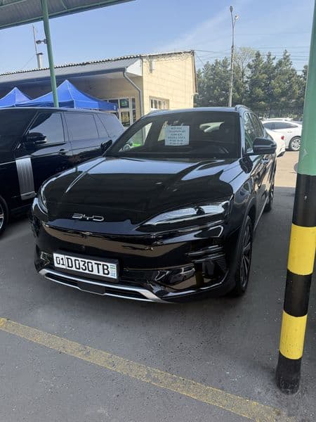 BYD Song Plus EV Champion 2024