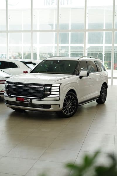 Hyundai Palisade 2025 — 3