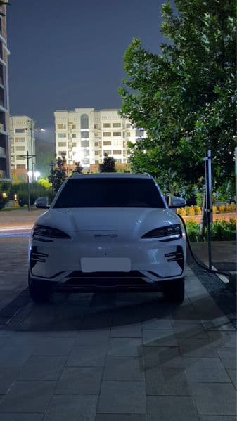 BYD Song Plus EV Champion 2024