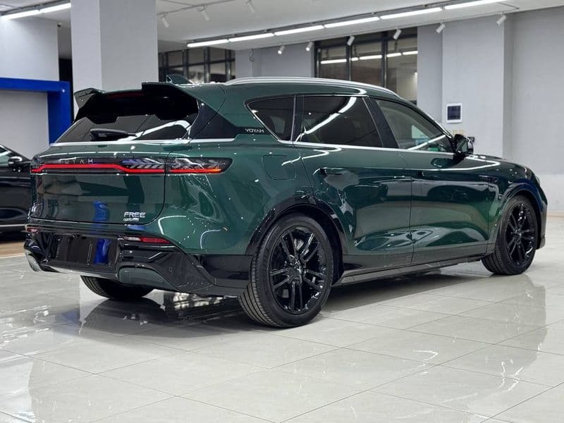 Voyah Free 2025 — 5