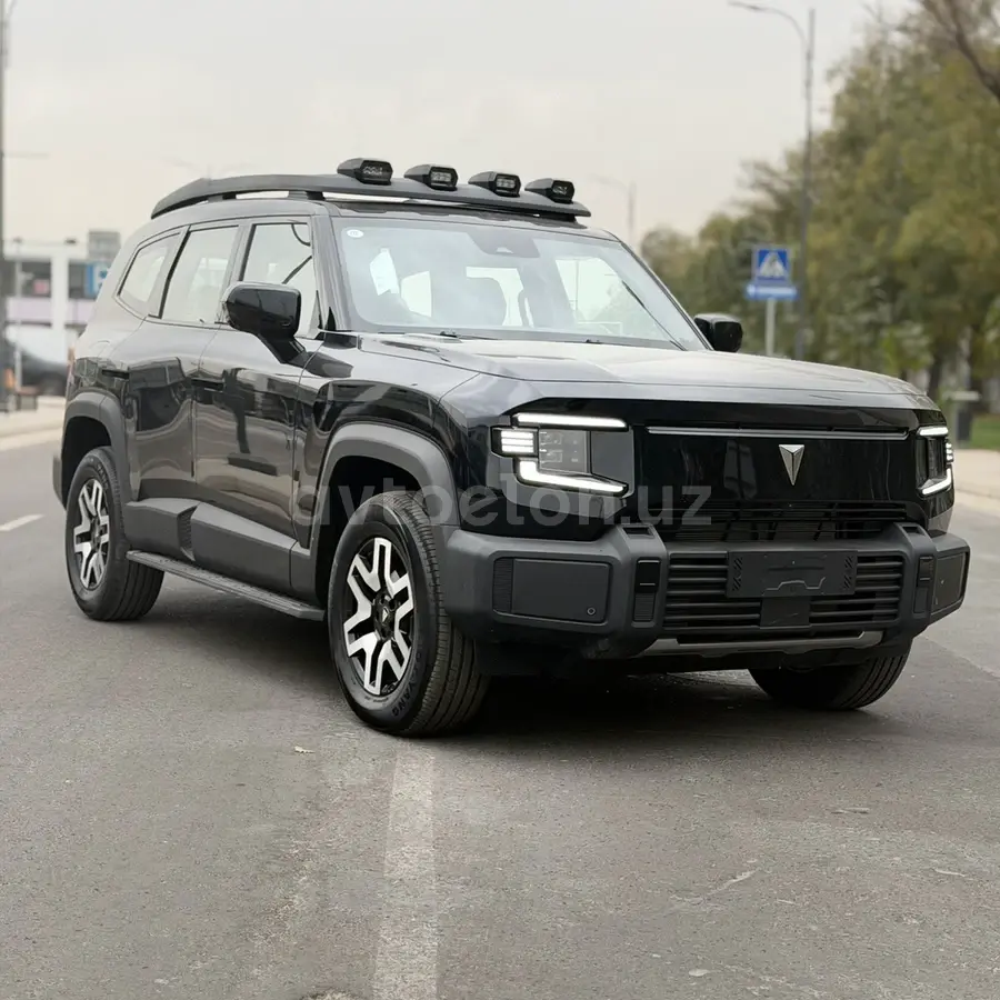 Changan Deep Blue G318 null