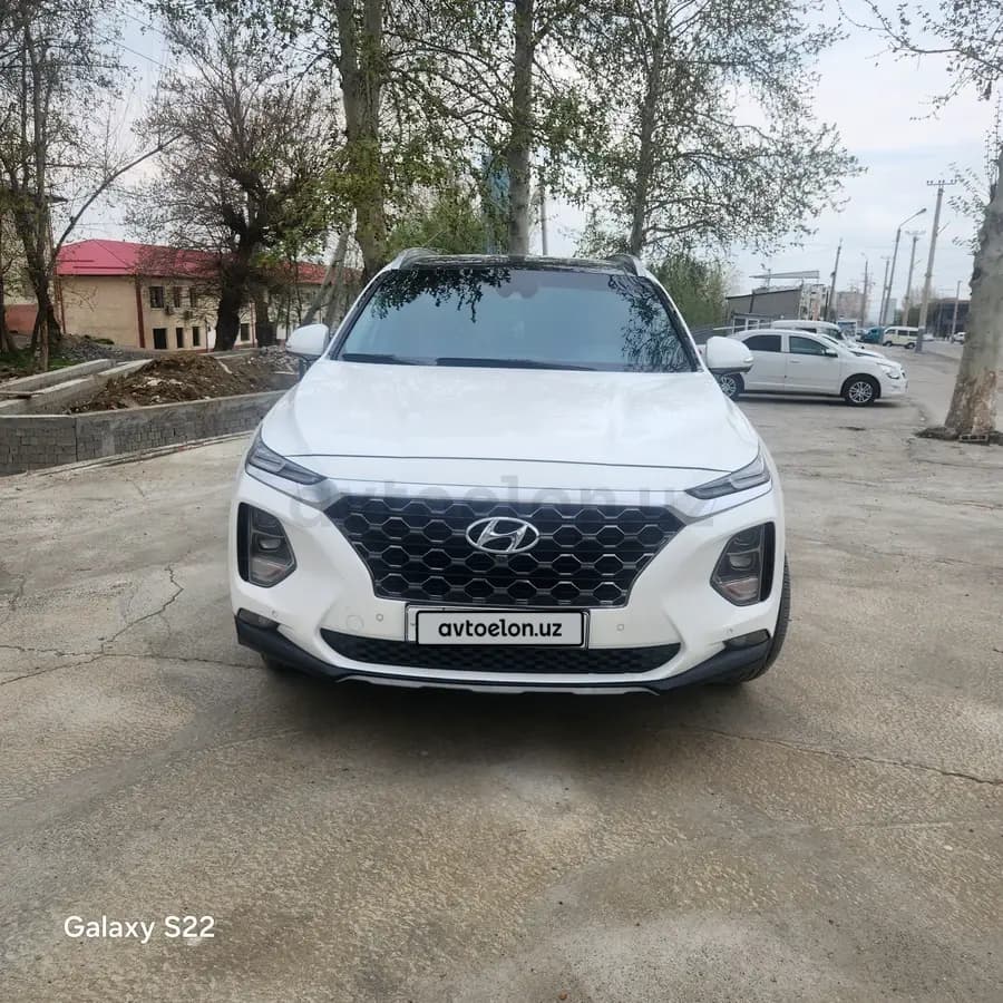 Hyundai Santa Fe null