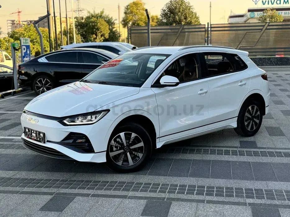 BYD e2 null
