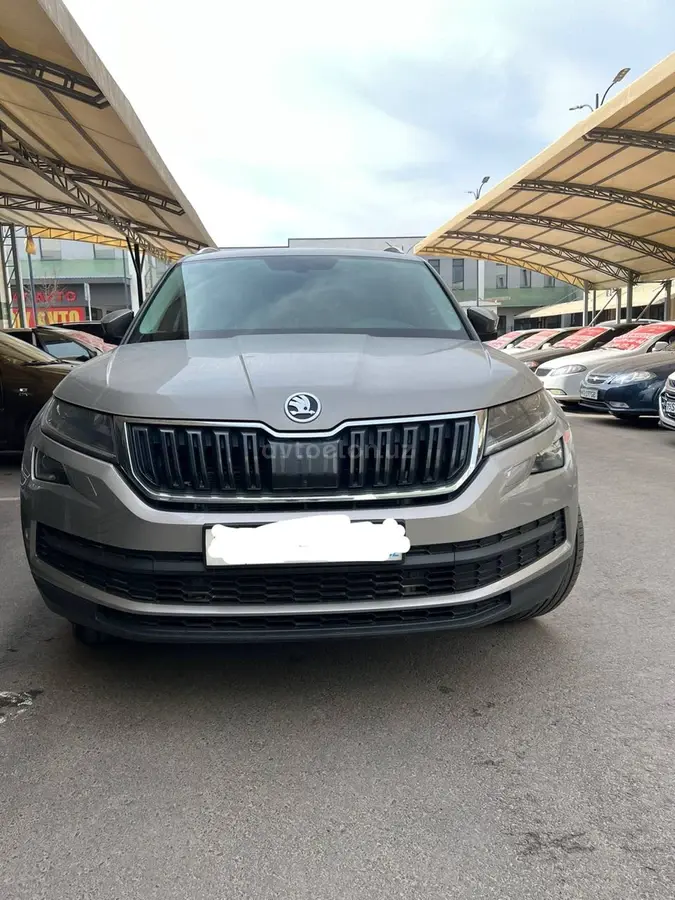 Skoda Kodiaq null