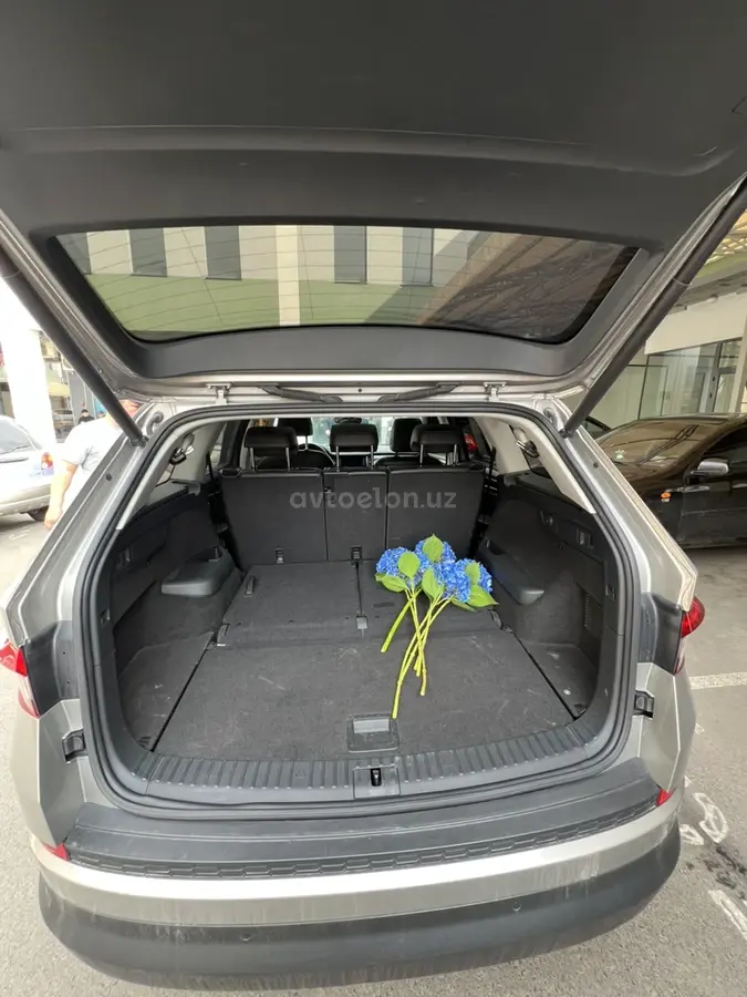 Skoda Kodiaq null — 8