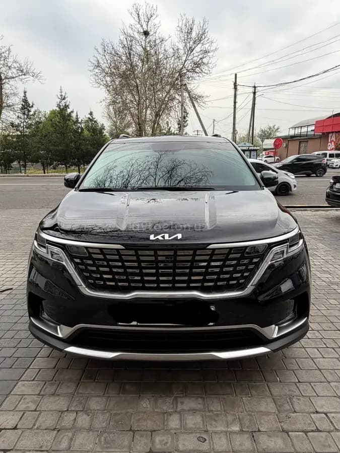 Kia Carnival null