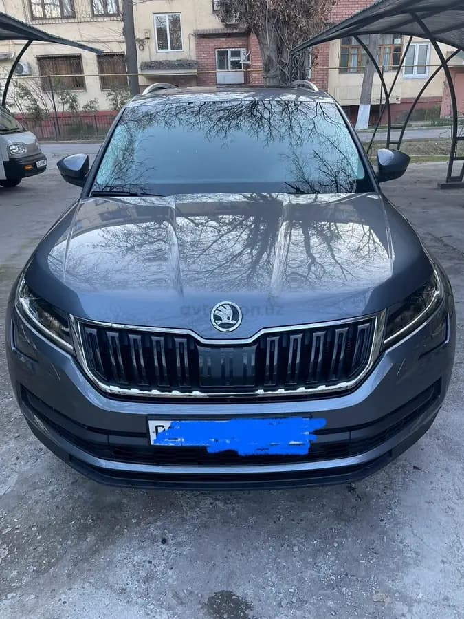 Skoda Kodiaq null