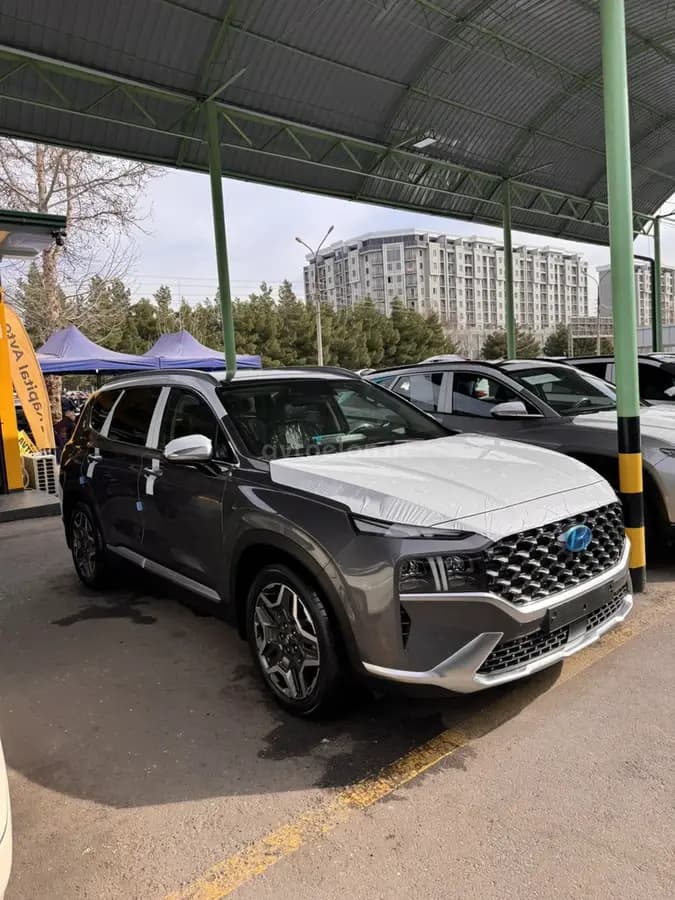 Hyundai Santa Fe null