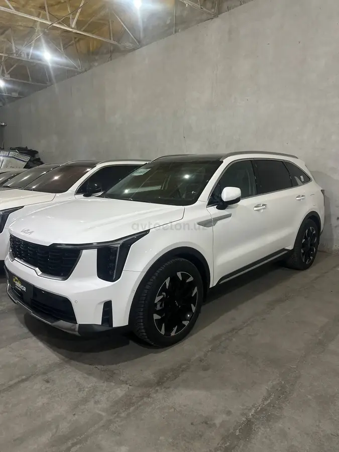 Kia Sorento null