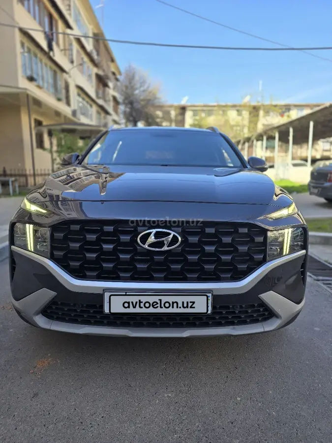 Hyundai Santa Fe null