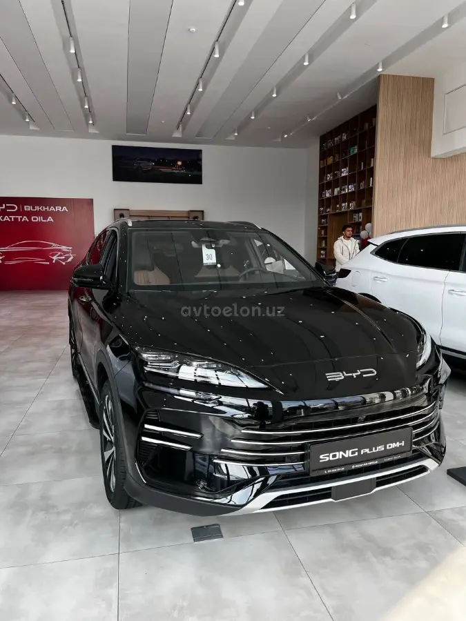 BYD Song Plus Champion Edition null