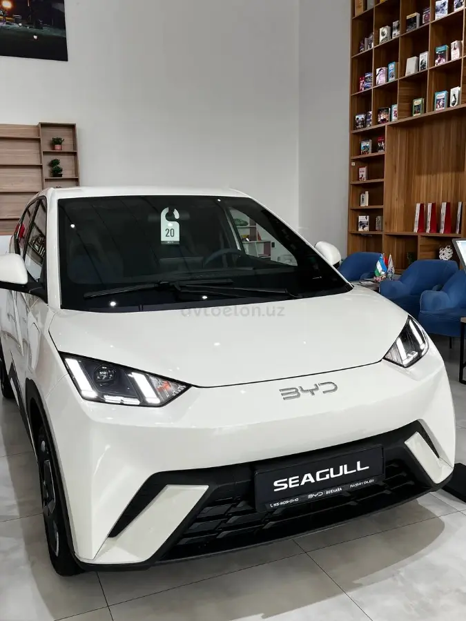 BYD Seagull null