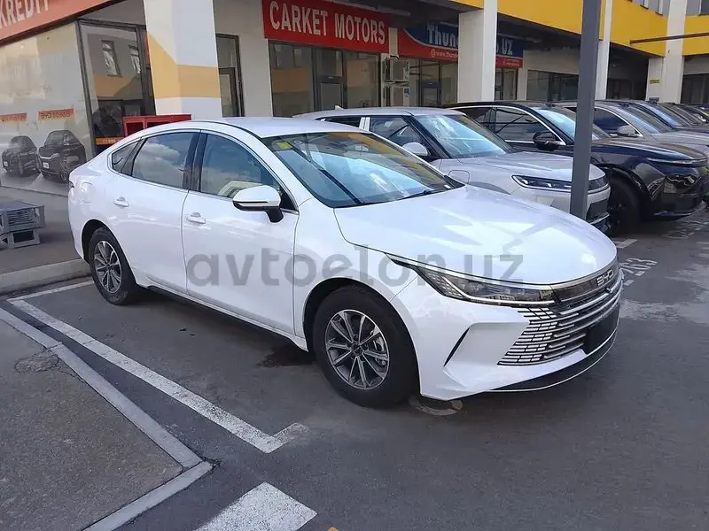 BYD Chazor null