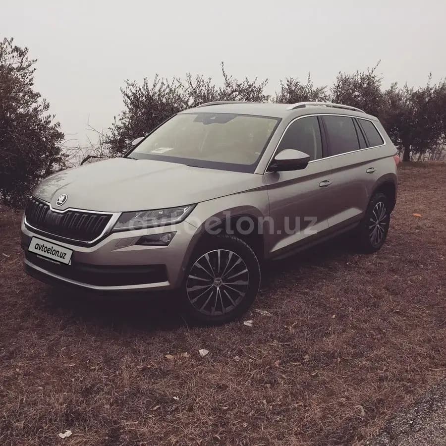 Skoda Kodiaq null