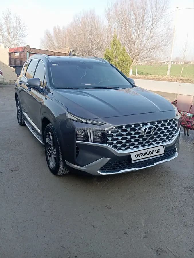 Hyundai Santa Fe null